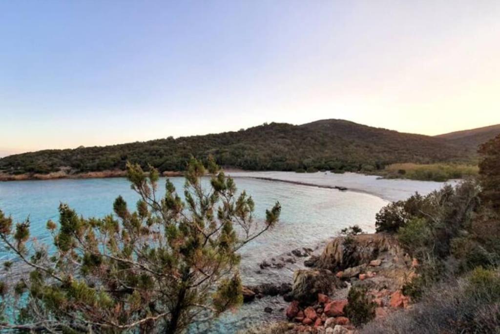ポルトヴェッキオ Bergerie #Casa Di Petra A Palombaggia Avec Piscineヴィラ エクステリア 写真